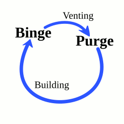 The binge-purge cycle